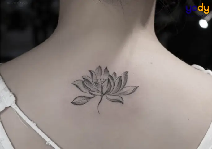 Hình Xăm Hoa Sen Đen Trắng