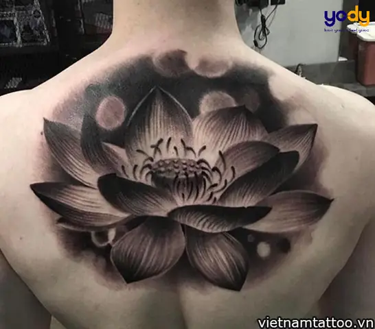 Hình Xăm Hoa Sen Đen