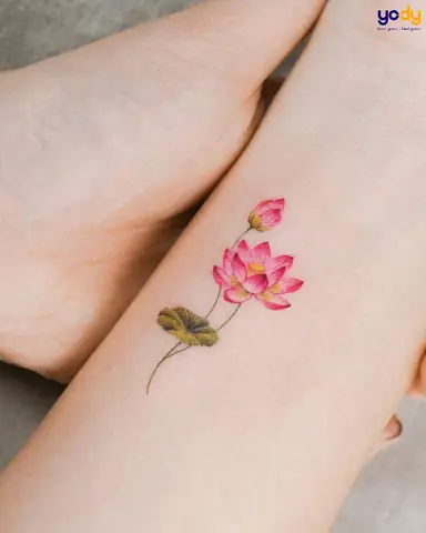 Hình Xăm Hoa Sen Đỏ