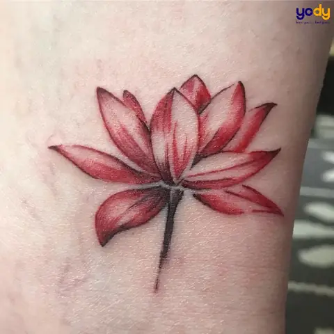 Hình Xăm Hoa Sen Đỏ