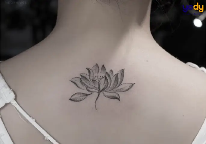 Hình Xăm Hoa Sen Đen
