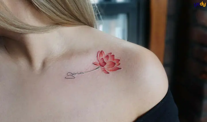 Hình Xăm Hoa Sen Hồng