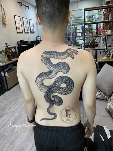 Ý Nghĩa Của Biểu Tượng Hình Rắn Ý Nghĩa Của Biểu Tượng Hình Rắn