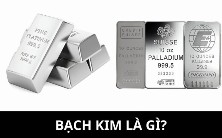 Bạch kim là gì?