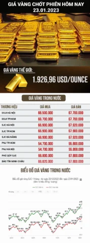 Biến động giá vàng hôm nay