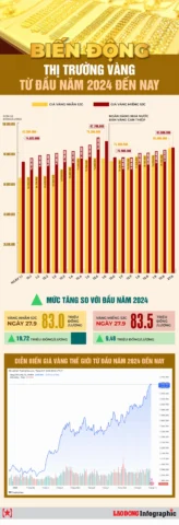 Biểu đồ dự báo giá vàng 2024