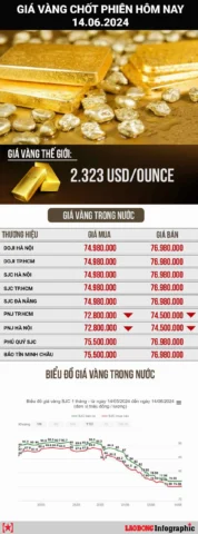 Giá vàng Long Xuyên hôm nay 2026: Dự báo & Phân tích chi tiết Chuyên gia phân tích giá vàng