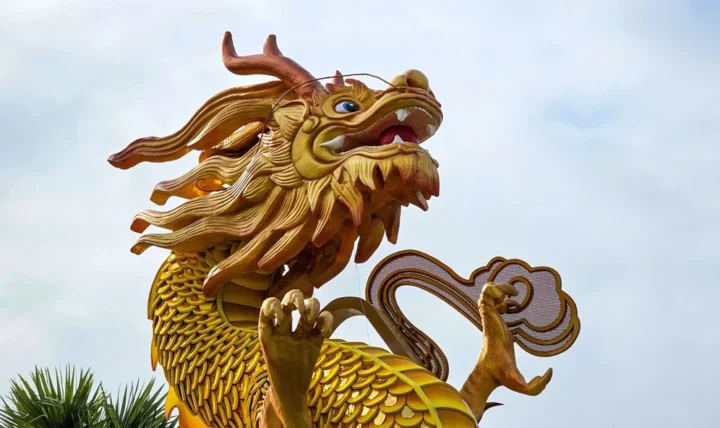 rong-vang-hue-bieu-tuong-may-man-va-van-hoa-oc-ao_573