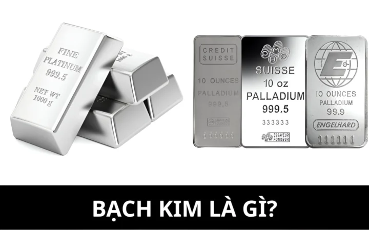 Bạch kim - Kim loại quý hiếm và giá trị