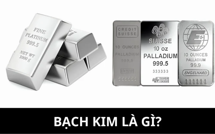 Bạch kim là gì và các ứng dụng của nó