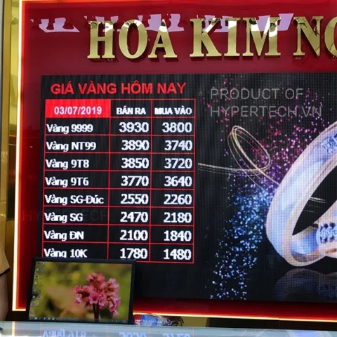 Biểu đồ biến động giá vàng 9999