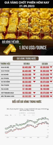 Giá vàng Kim Chung hôm nay: Cập nhật mới nhất 2026 - Mua hay Bán? Biểu đồ biến động giá vàng Kim Chung