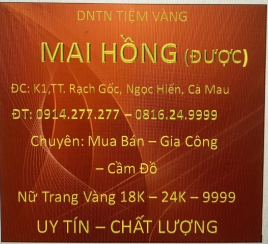 Giá Vàng Hội Kim Hoàn Cà Mau Hôm Nay 2026: Cập Nhật Mới Nhất Biểu đồ biến động giá vàng