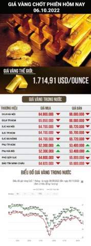 Giá vàng 610 hôm nay TP.HCM: Cập nhật và phân tích chi tiết 2026 Biểu đồ giá vàng 610 hôm nay TP.HCM