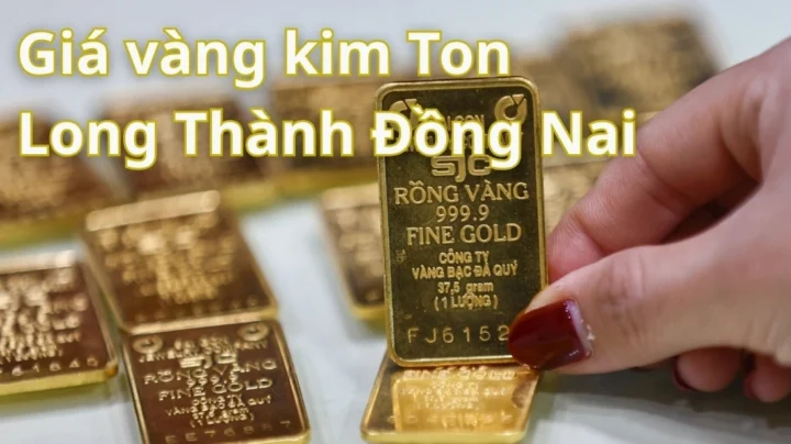 Giá Vàng 9999 Kim Tôn Hôm Nay 2026: Cập Nhật Mới Nhất Biểu đồ giá vàng 9999 Kim Tôn hôm nay