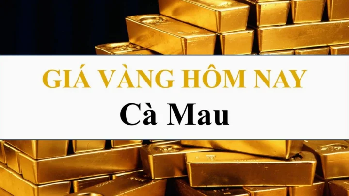 Biểu đồ giá vàng Cà Mau qua các năm