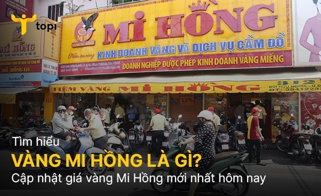 Mi Hồng: Cập Nhật Giá Vàng 2026 & Xu Hướng Đầu Tư An Toàn Biểu đồ phân tích vàng