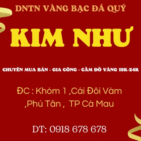 Hội Kim Hoàn Cà Mau Hôm Nay: Cập Nhật Giá Vàng Mới Nhất 2026 Hoạt động của Hội Kim Hoàn Cà Mau