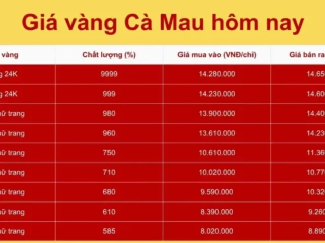 Giá Vàng Hội Kim Hoàn Cà Mau 2026: Dự Báo và Phân Tích Chuyên Sâu Lời khuyên đầu tư vàng