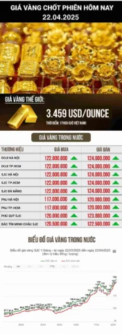 Người xem biểu đồ giá vàng