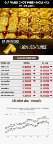 Thị trường vàng trong nước 2026
