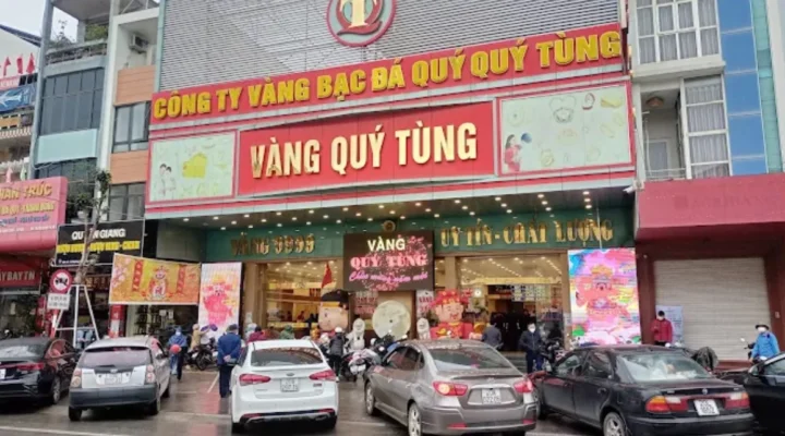 vang-quy-tung-thai-nguyen-inh-gia-xu-huong-loi-khuyen-au-tu-_309